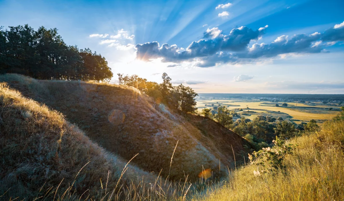 Ścieżki i dróżki w ogrodzie