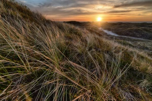 4 Sprawdzonych Sposobów Aby uczyć się hiszpańskiego